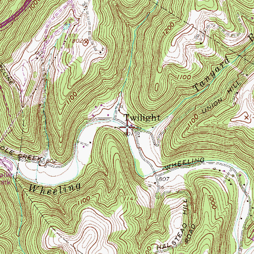 Topographic Map of Tanyard Run, WV