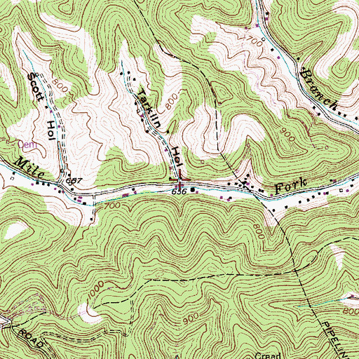 Topographic Map of Tarkin Hollow, WV