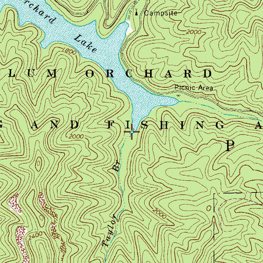 Topographic Map of Taylor Branch, WV