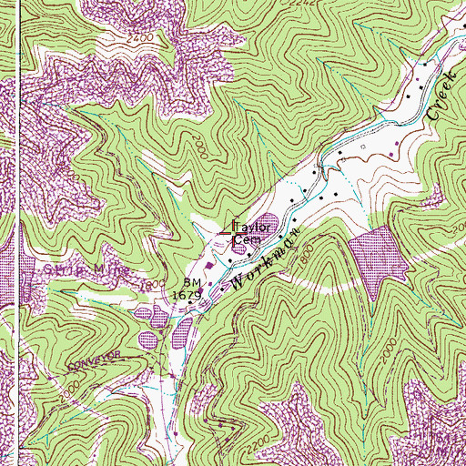 Topographic Map of Taylor Cemetery, WV