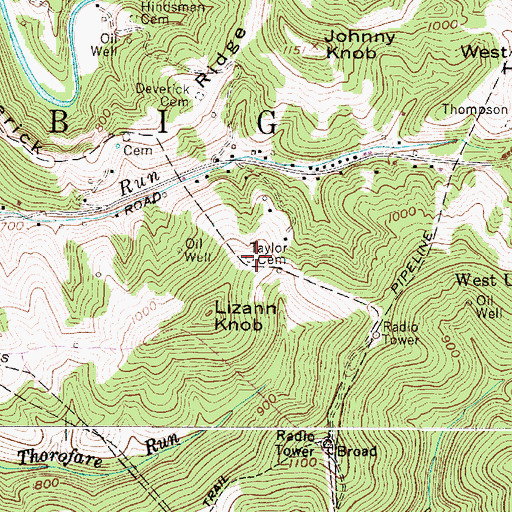 Topographic Map of Taylor Cemetery, WV
