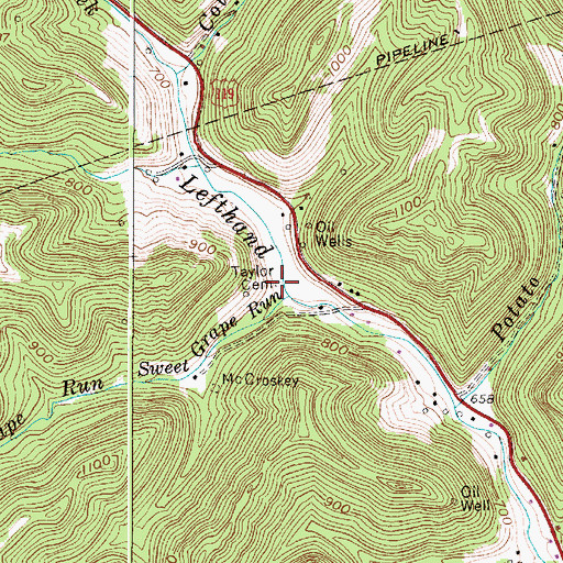 Topographic Map of Taylor Cemetery, WV