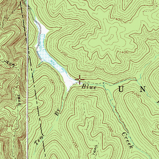 Topographic Map of Tent Branch, WV