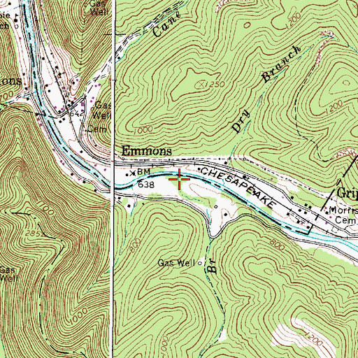 Topographic Map of Thomas Branch, WV