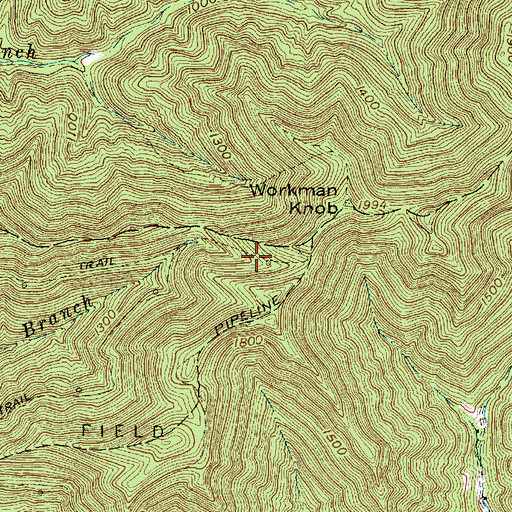 Topographic Map of Thomas Price Branch, WV