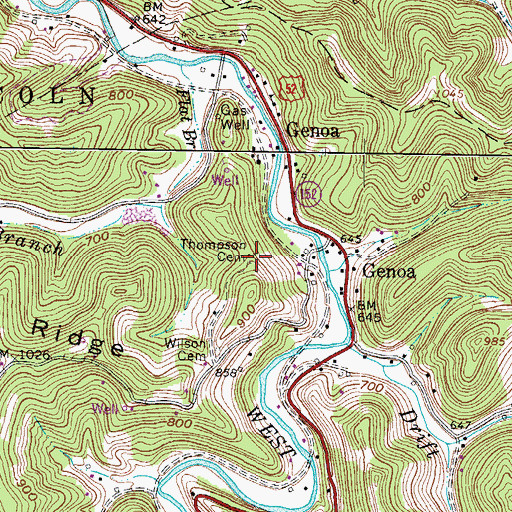Topographic Map of Thompson Cemetery, WV