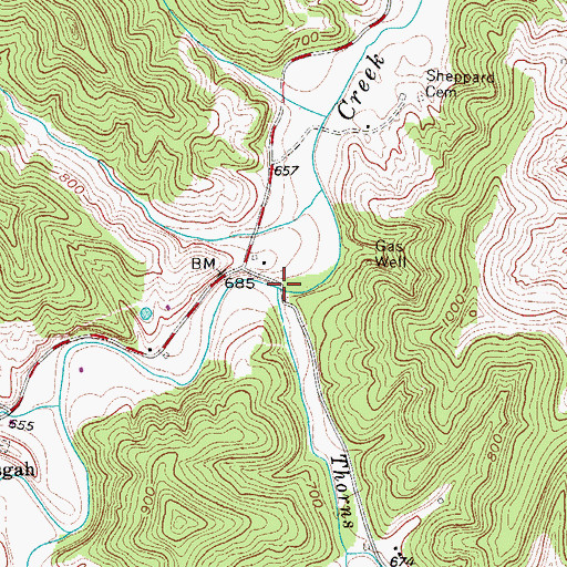 Topographic Map of Thorns Run, WV