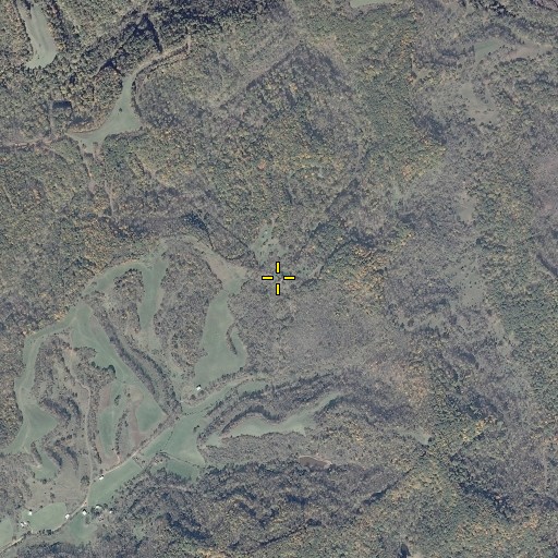 Aerial/Satellite Image of Tiger Gap, WV