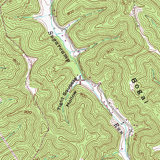 Topographic Map of Tight Squeeze Hollow, WV