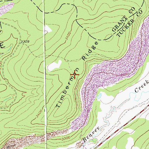Topographic Map of Timberman Ridge, WV