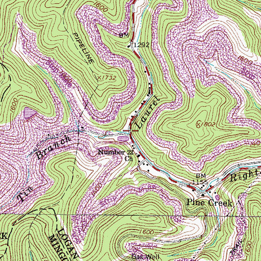 Topographic Map of Tin Branch, WV