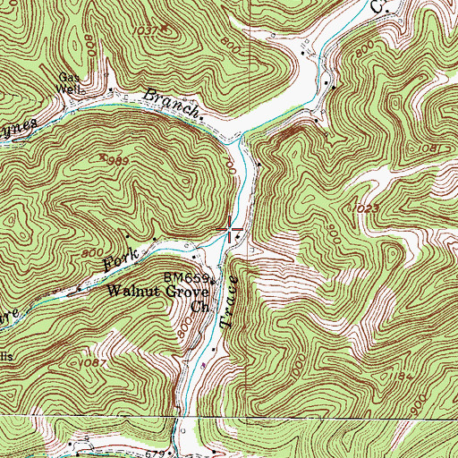 Topographic Map of Tincture Fork, WV