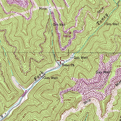 Topographic Map of Toler Church, WV