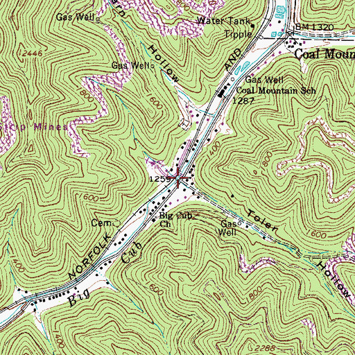 Topographic Map of Toler Hollow, WV