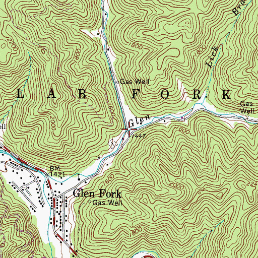 Topographic Map of Tom Bailey Branch, WV