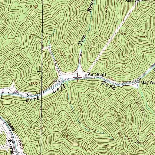 Topographic Map of Tom Branch, WV