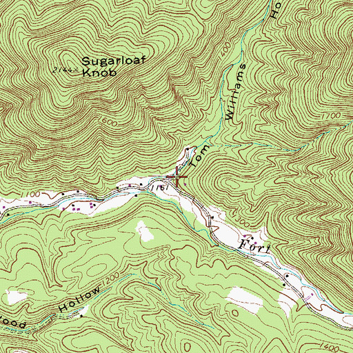 Topographic Map of Tom Williams Hollow, WV