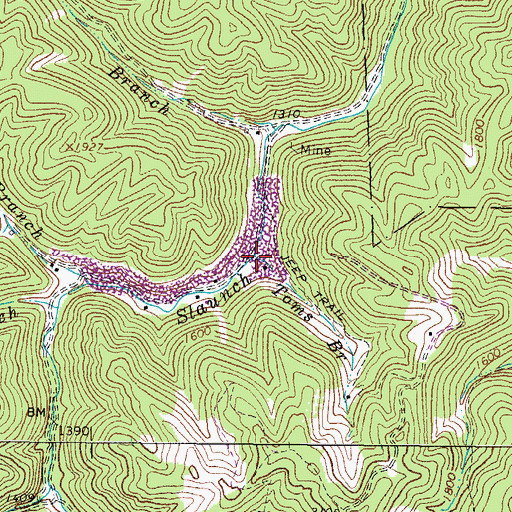 Topographic Map of Toms Branch, WV