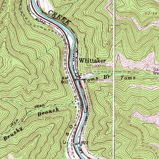 Topographic Map of Toms Branch, WV