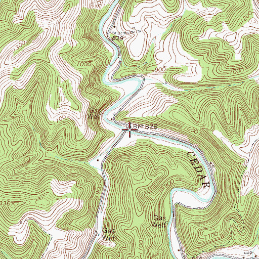 Topographic Map of Toms Run, WV