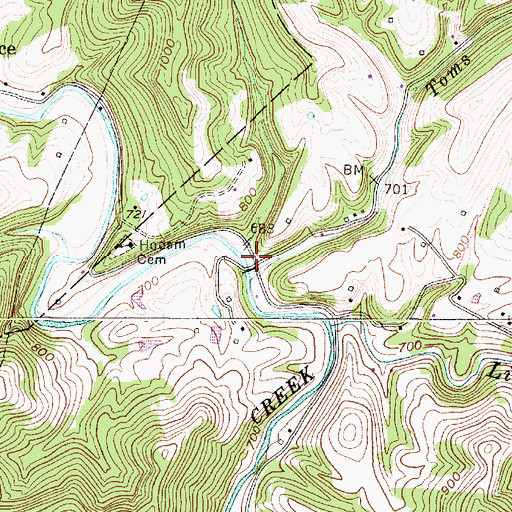 Topographic Map of Toms Run, WV