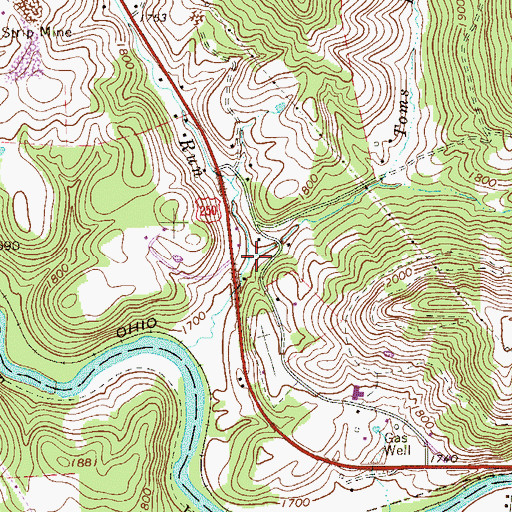 Topographic Map of Toms Run, WV