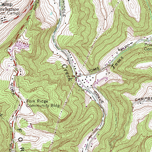 Topographic Map of Toms Run, WV