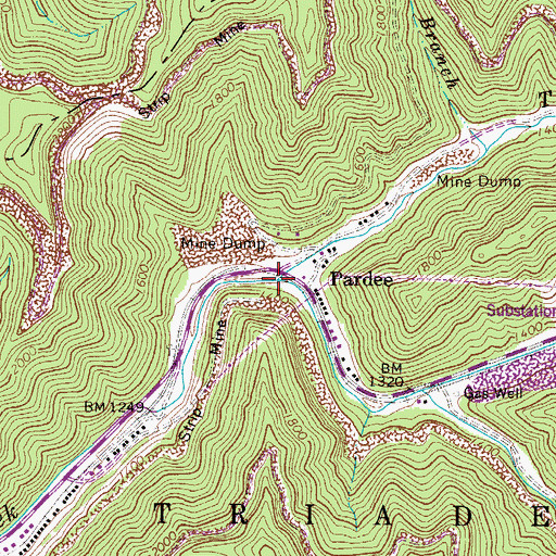 Topographic Map of Toney Fork, WV