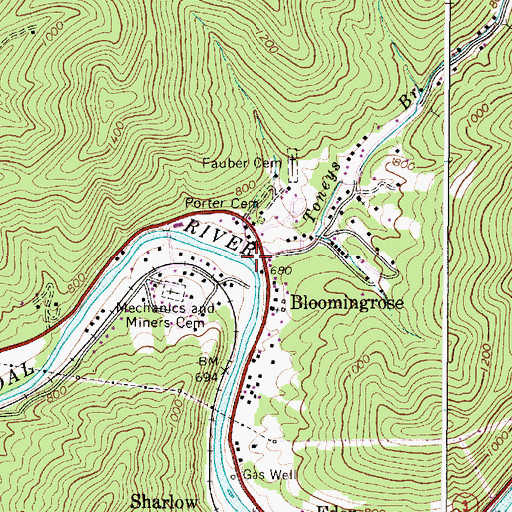 Topographic Map of Toneys Branch, WV