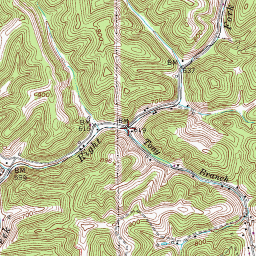Topographic Map of Tony Branch, WV