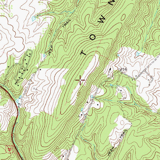 Topographic Map of Town Hill, WV