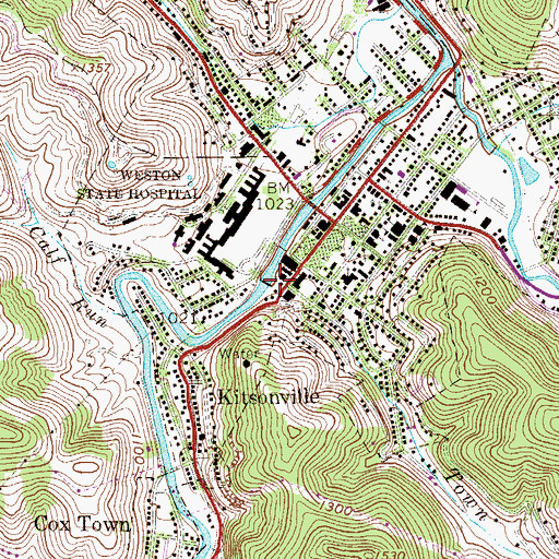 Topographic Map of Town Run, WV
