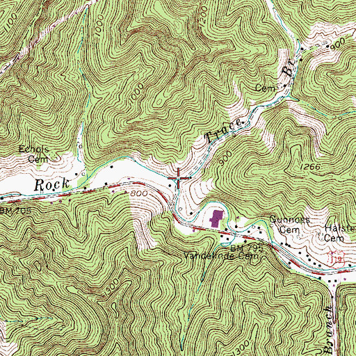 Topographic Map of Trace Branch, WV