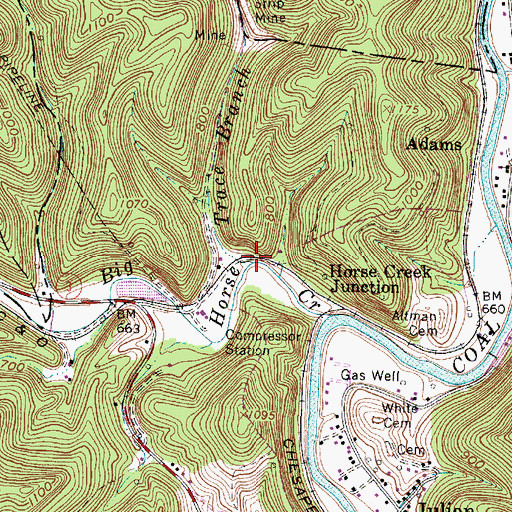 Topographic Map of Trace Branch, WV