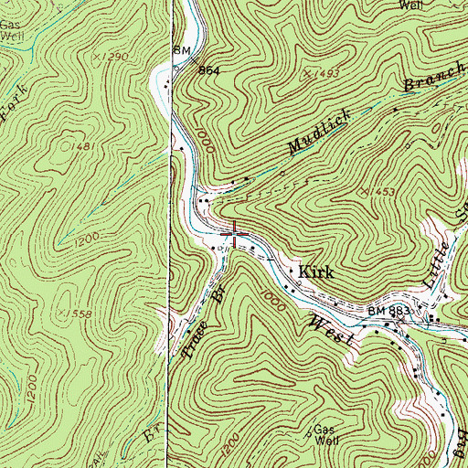 Topographic Map of Trace Branch, WV