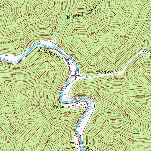 Topographic Map of Trace Branch, WV