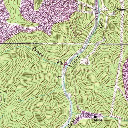 Topographic Map of Trace Fork, WV