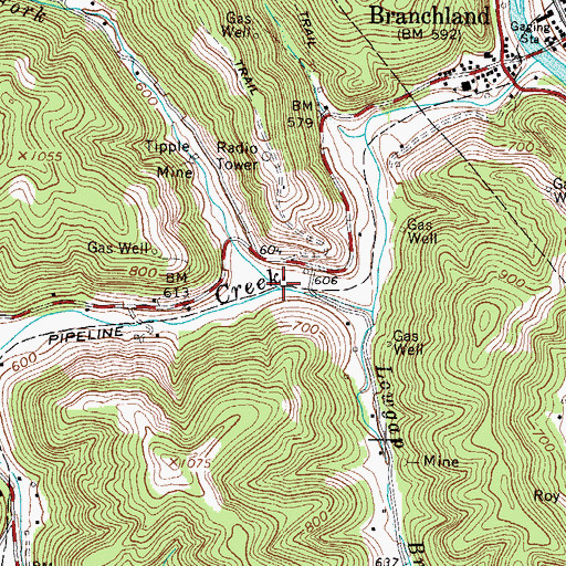 Topographic Map of Trace Fork, WV