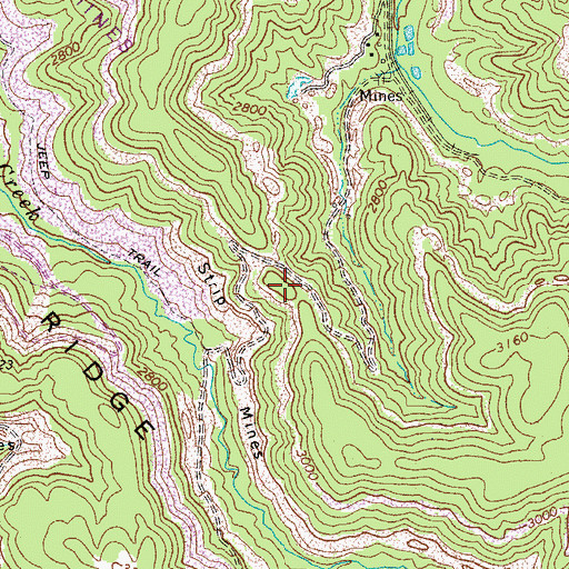 Topographic Map of Trace Ridge, WV