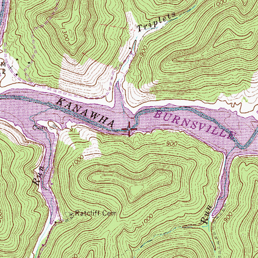 Topographic Map of Triplets Run, WV
