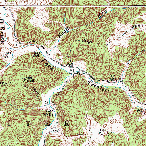 Topographic Map of Triplett Fork, WV