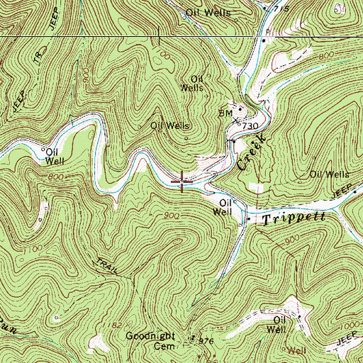 Topographic Map of Trippett Run, WV