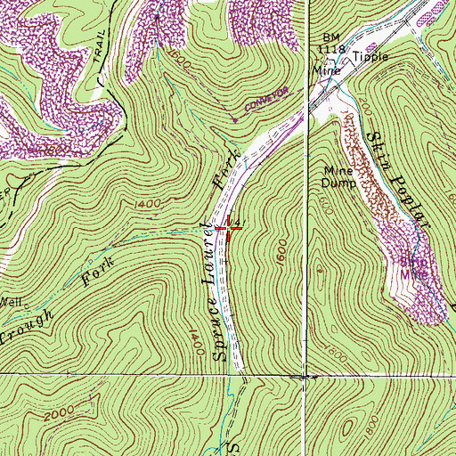 Topographic Map of Trough Fork, WV