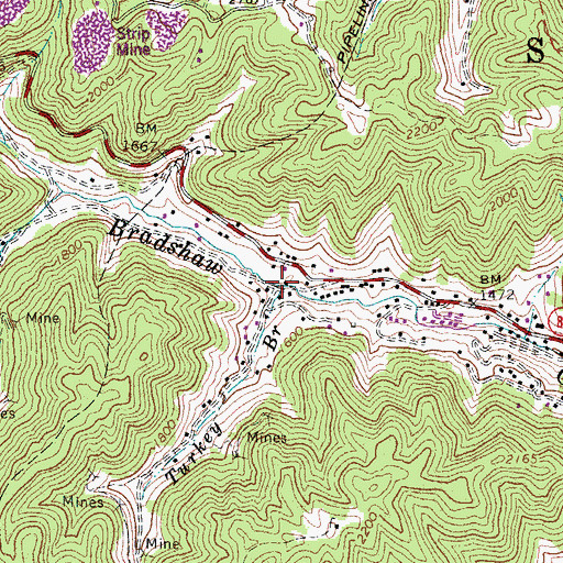 Topographic Map of Turkey Branch, WV