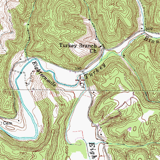 Topographic Map of Turkey Branch, WV