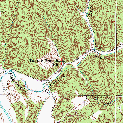 Topographic Map of Turkey Branch Church, WV