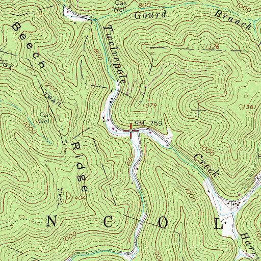 Topographic Map of Turkey Creek, WV