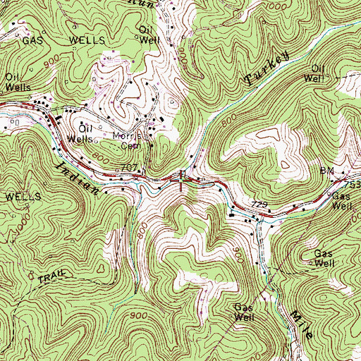 Topographic Map of Turkey Fork, WV
