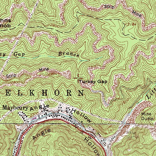 Topographic Map of Turkey Gap, WV