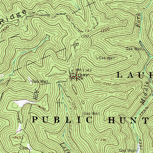 Topographic Map of Turkey Rock, WV